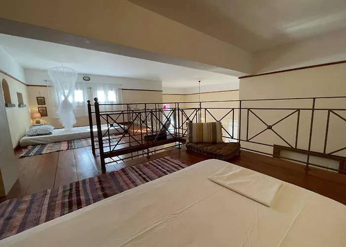 فيلة Next To The Sea!!