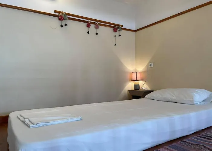 Next To The Sea!! فيلة Myrties