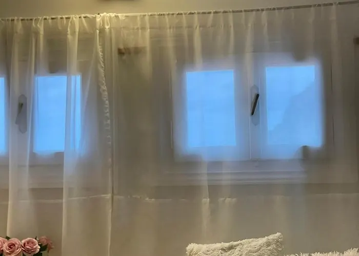 فيلة Next To The Sea!! *