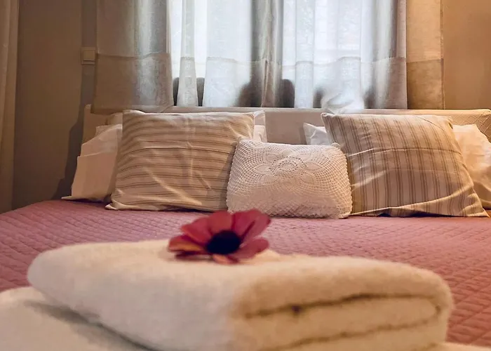 فيلة Next To The Sea!!