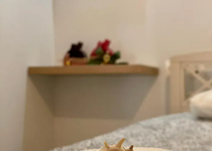 Next To The Sea!! فيلة *